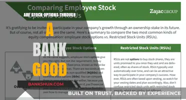 Stock Options: Are Banks the Best Brokers?