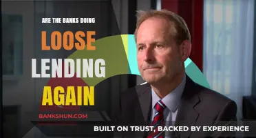 Banks' Loose Lending: A Repeat of the Past?