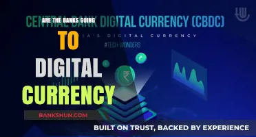 Digital Currency: Banks' Inevitable Future?