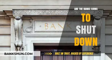 The Future of Banking: Shutdown or Evolution?