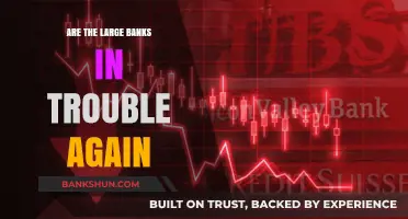 Big Banks: Another Crisis Brewing?
