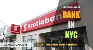 Scotia Bank Branches in NYC: Locations and Services