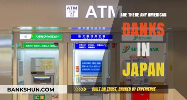American Banks in Japan: Exploring the Options