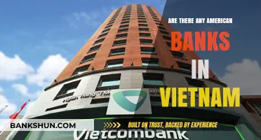 American Banks in Vietnam: Exploring Options