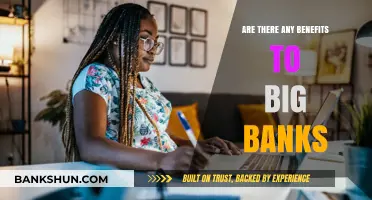 Big Banks: Advantages and Perks for Customers