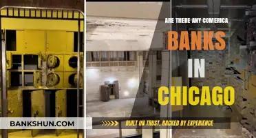 Comerica Banks in Chicago: Where to Find Them