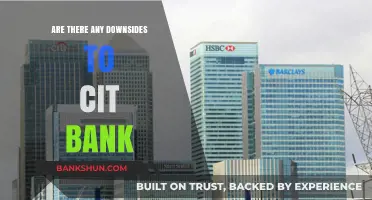 CIT Bank: Downsides and Drawbacks?