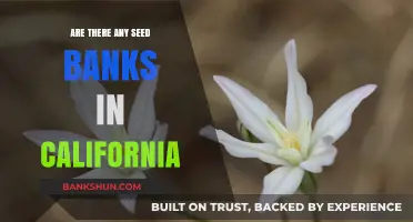 Seed Banks in California: Where to Find Them?