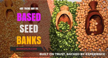 Best US-Based Seed Banks: Where to Source Your Seeds