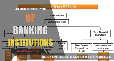 The Evolution of Banking: Diverse Institutions