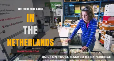 Food Banks in the Netherlands: A Necessary Service?