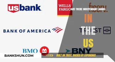 Independent US Banks: Do They Exist?