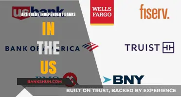 Independent Banks: Do They Exist in the US?
