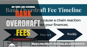 Understanding Legal Boundaries of Bank Overdraft Fees