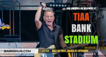 Umbrellas at TIAA Bank Stadium: What's the Deal?