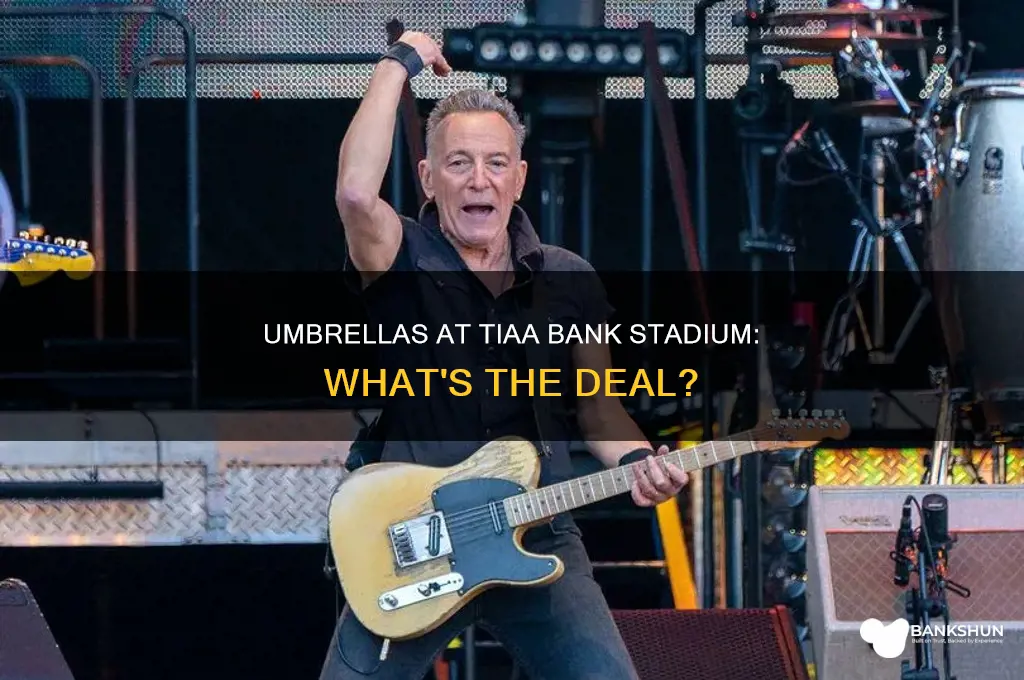 are umbrellas allowed at tiaa bank stadium