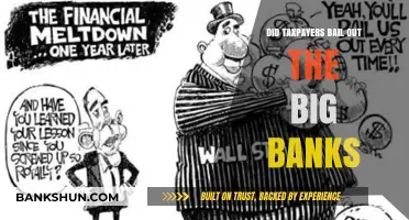 Who Bailed Out Whom? Taxpayers and Big Banks
