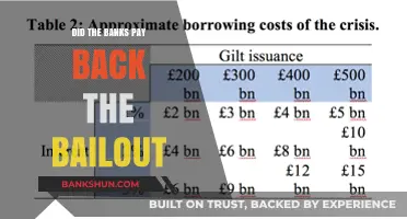 Did Banks Repay Bailout Money?