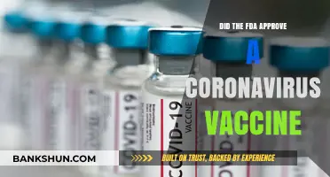 FDA Approves Coronavirus Vaccine: What You Need to Know Now