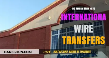 Amery Bank: International Wire Transfers Explored