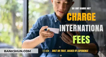 Best Banks for International Travel: No Foreign Transaction Fees