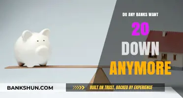 Down Payment Options: Do Banks Still Require 20%?