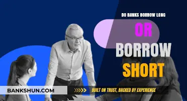 Borrowing Strategies: Banks' Long vs Short-Term Borrowing