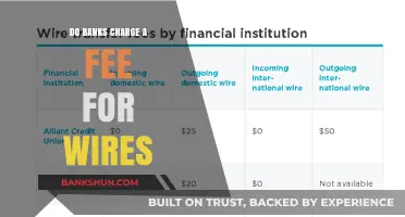 Understanding Wire Transfer Fees Charged by Banks