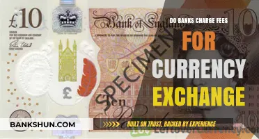 Currency Exchange: Are There Fees and How Much?