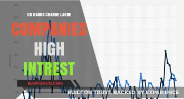 Why Banks Charge Large Companies High Interest Rates?