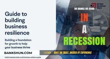 Banks' Resilience: Surviving and Thriving in a Recession