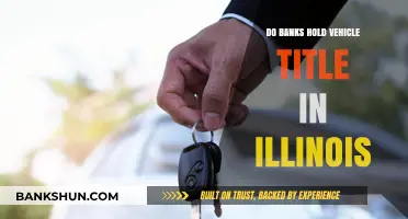 Vehicle Title Loans: Who Holds the Title in Illinois?
