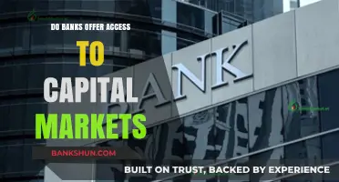 Banks: Gateway to Capital Markets and Beyond
