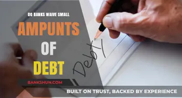Waiving Small Debt Amounts: Banks' Strategies and Consumer Impact