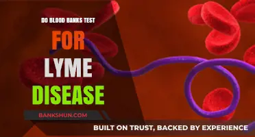 Blood Banks and Lyme Disease Testing