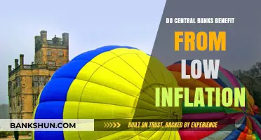 Inflation and Central Banks: A Delicate Balance