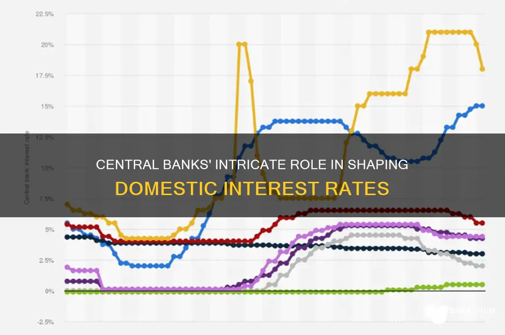 do central banks manage domestic intrest rates