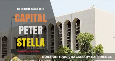 Central Bank Capital: A Necessary Evil?