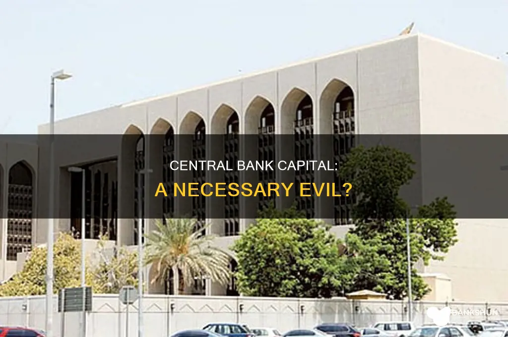do central banks need capital peter stella