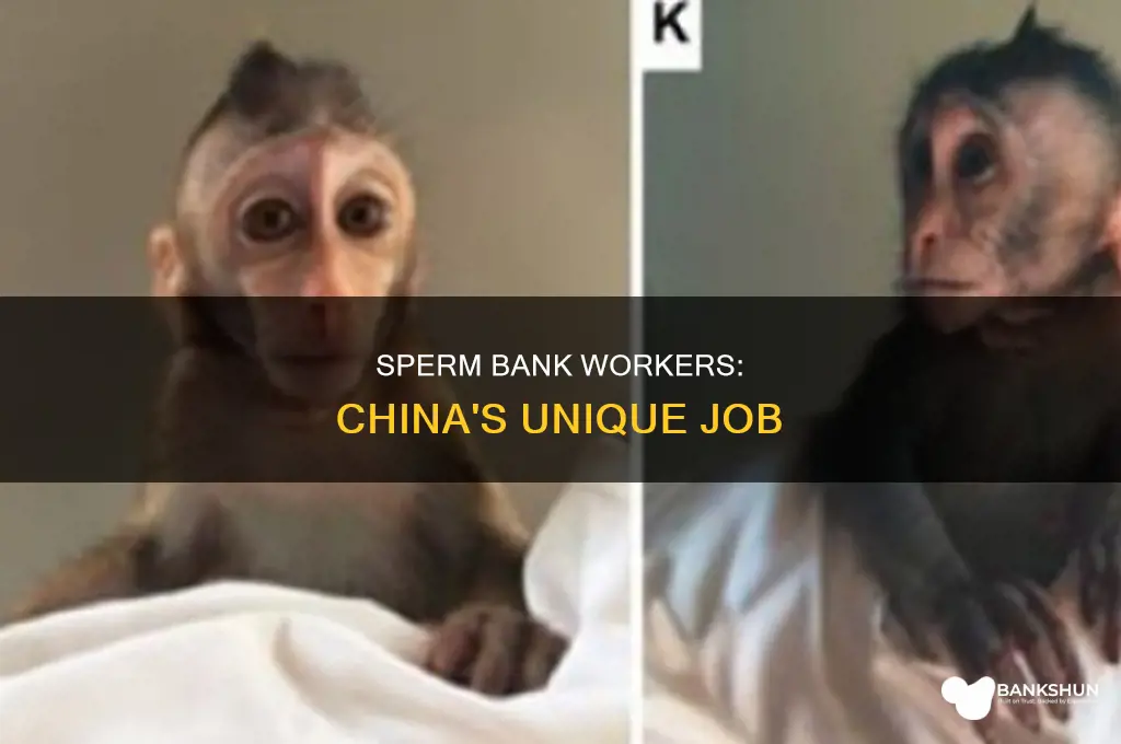 do chinese sperm bank workers in china