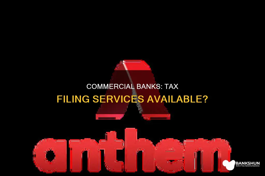 do commercial banks have tax filing services