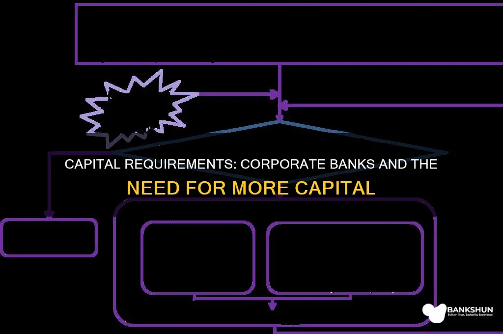 do corporate banks require higher capital requirements