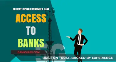 Developing Economies: Banking Access and Financial Inclusion