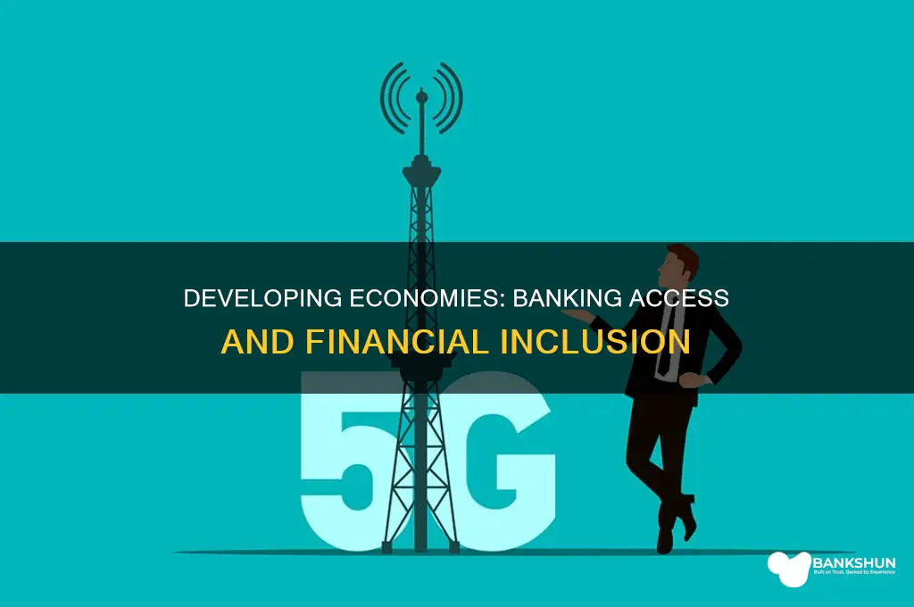 do developing economies have access to banks