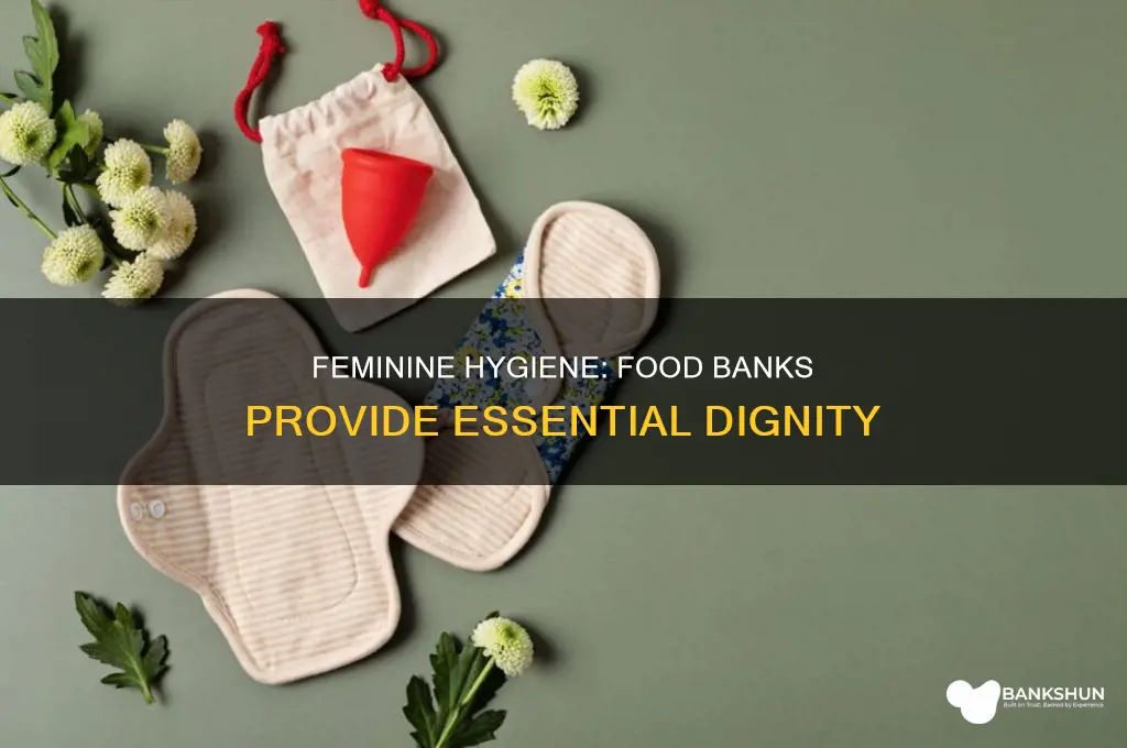 do food banks offer feminine hygiene products