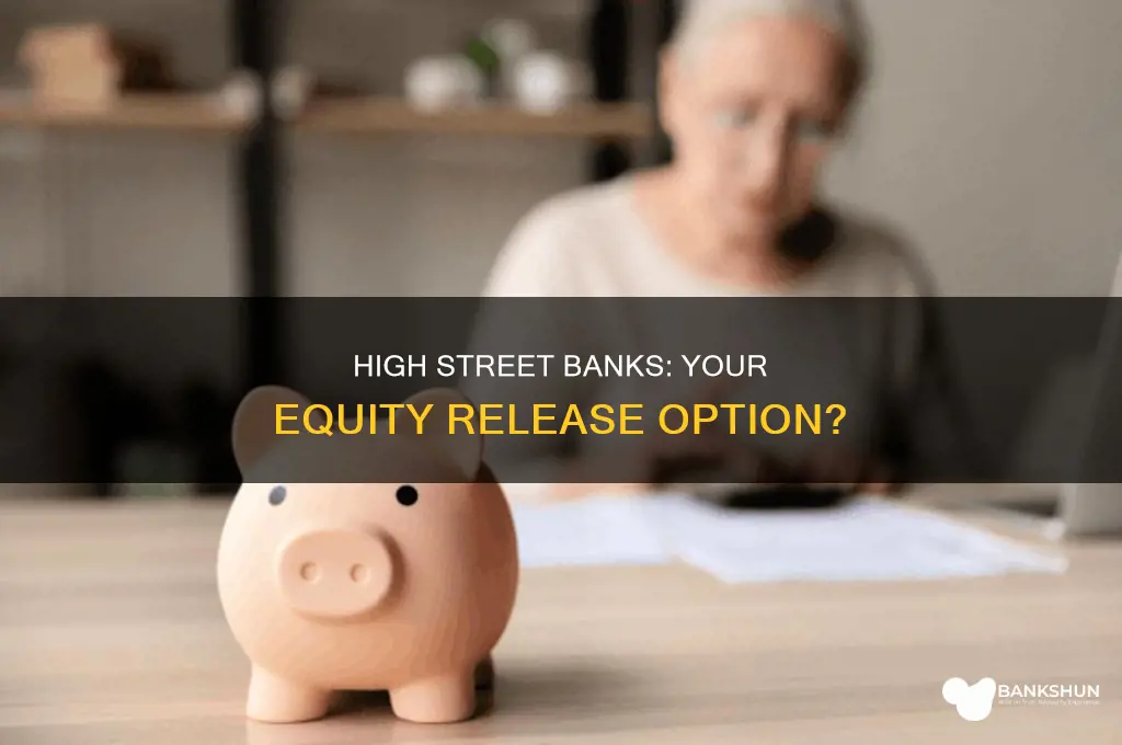 do high street banks do equity release