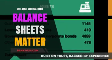 Central Bank Balance Sheets: What's the Risk?
