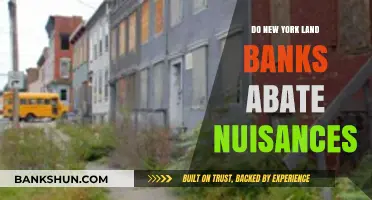 Land Banks: Abating Nuisances in New York