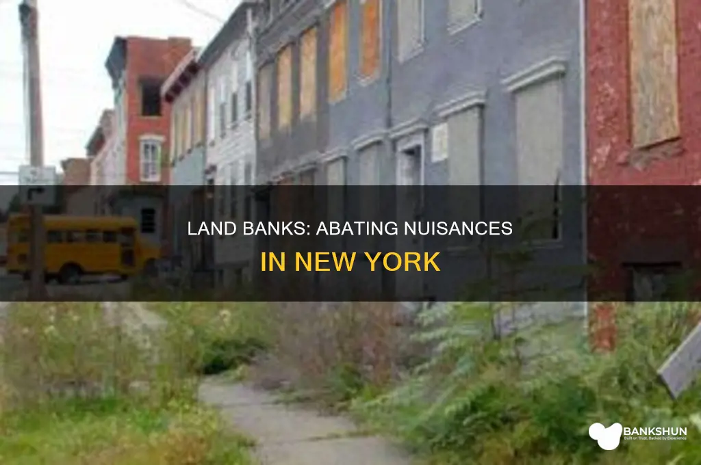 do new york land banks abate nuisances