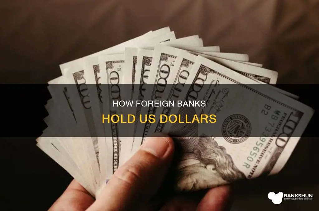 do other countries banks have us dollars